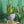 Modern Moroccan Planter with Legs - Staunton and Henry