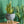 Load image into Gallery viewer, Modern Moroccan Planter with Legs - Staunton and Henry
