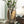 Distressed Look Glass Vases - Staunton and Henry