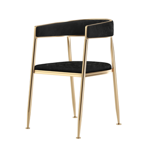 Ella Velvet Dining Chairs with Gold Legs (Set of 2) - Staunton and Henry