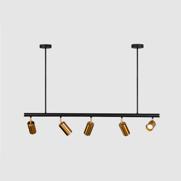 Modern Brass Hanging Track Lights - Staunton and Henry