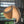 Studio Vayehi Wing Wood Veneer Ceiling Light - Staunton and Henry