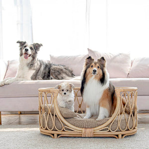 Rattan Pet Bed - Staunton and Henry