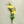 Load image into Gallery viewer, Yellow Lisianthus Silk Flowers - Set of 3 Stems - Staunton and Henry

