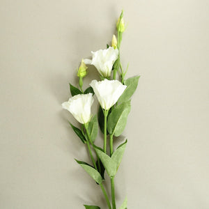 White Lisianthus Silk Flowers - Set of 3 Stems - Staunton and Henry