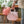 Pink Tote Bag Glass Vase - Staunton and Henry