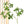 Artificial Leaf - Pieris - Staunton and Henry