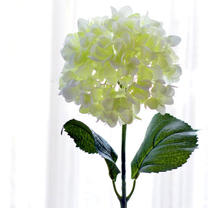 White Hydrangea Silk Flowers Stem - Staunton and Henry