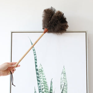 Ostrich Feather Duster - Staunton and Henry