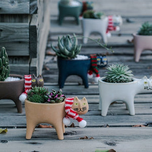 Cute Cat Plant Pot - Staunton and Henry
