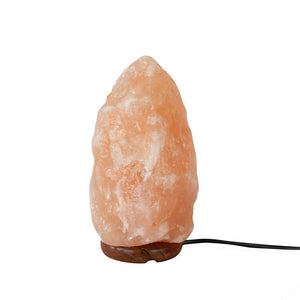 Himalayan Salt Lamp - Staunton and Henry