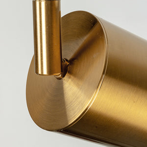 Modern Brass Hanging Track Lights - Staunton and Henry