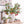 Load image into Gallery viewer, Artificial Pomegranate Fruit Plant - Staunton and Henry

