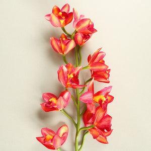 Pink Cymbidium Orchid Silk Flowers - Set of 3 Stems - Staunton and Henry