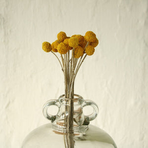 Yellow Dried Flowers - Bunch of 20 - Staunton and Henry