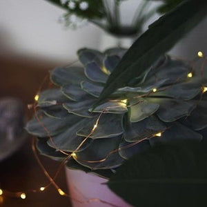 Mini LED Fairy Lights with Battery - Staunton and Henry