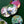 Jungle Safari Dessert and Dinner Plate Set - Staunton and Henry
