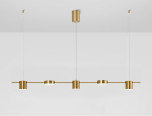 Modern Linear Gold Hanging Track Lights - Staunton and Henry
