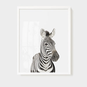 Animal Wall Arts for Kids Room - Staunton and Henry