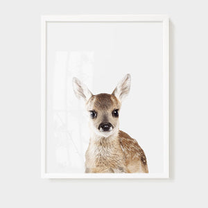 Animal Wall Arts for Kids Room - Staunton and Henry
