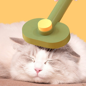 Self-Cleaning Pet Grooming Brush - Staunton and Henry
