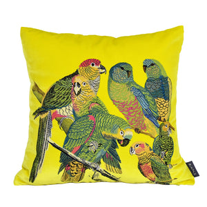 Parrot Embroidered Throw Cushion - Staunton and Henry