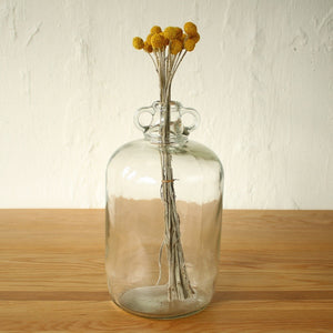 Yellow Dried Flowers - Bunch of 20 - Staunton and Henry