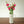 Load image into Gallery viewer, Pink Lisianthus Flowers - Set of 3 Stems - Staunton and Henry

