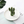 Load image into Gallery viewer, Cactus Jewellery Stands - Staunton and Henry
